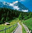 Viaggi Organizzati Svizzera